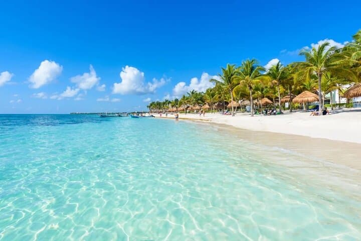 Full-Day Snorkel with Sea Turtles: Akumal, Tulum & Playa del Carmen photo 2