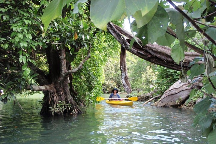 Full-Day Rentapao River Kayaking and Crystal Cascades Swim from Port Vila photo 2