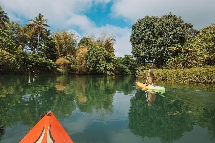 Full-Day Rentapao River Kayaking and Crystal Cascades Swim from Port Vila photo 4