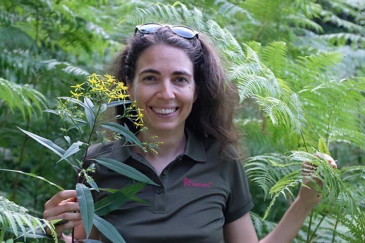 Ljubljana Forest Walk with a Forestry Engineer — Trees, Climate, and Potica