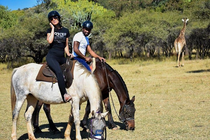 Horseback Safari Through Silkaatsnek Nature Reserve, Hartbeespoort photo 4