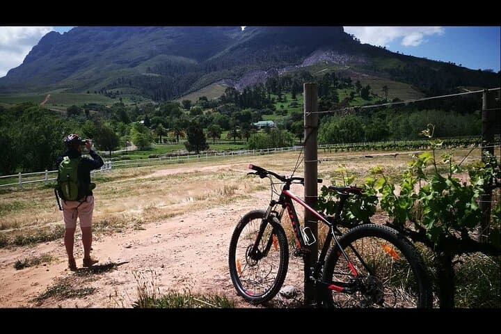 Stellenbosch Private E‑Bike & Wine Tour — Half‑Day Banhoek Valley Ride photo 6