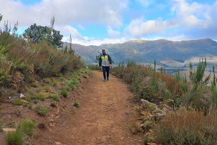 Banhoek Valley Hike & Wine Tasting — Half-Day Guided Nature Walk in Stellenbosch
