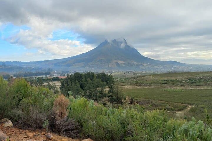 Banhoek Valley Hike & Wine Tasting — Half-Day Guided Nature Walk in Stellenbosch photo 2
