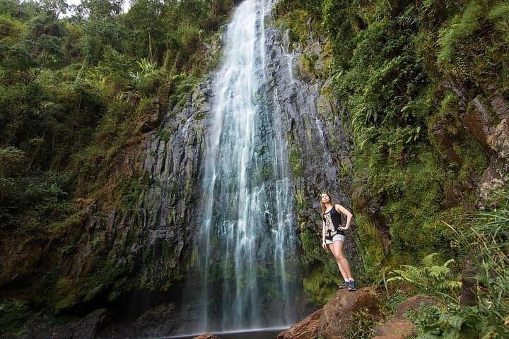 Moshi Day Trip: Wildlife Farm & Materuni Waterfalls with Chagga Coffee Experience photo 6