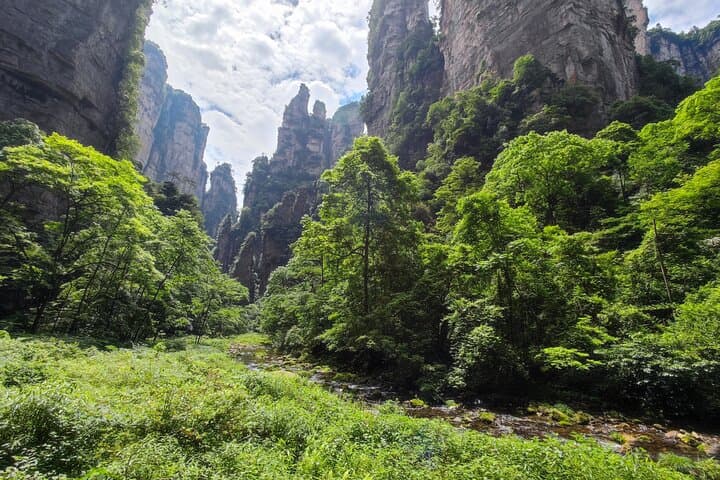3-Day Zhangjiajie Panoramic Tour: Avatar Peaks, Glass Bridge & Tianmen Mountain photo 3