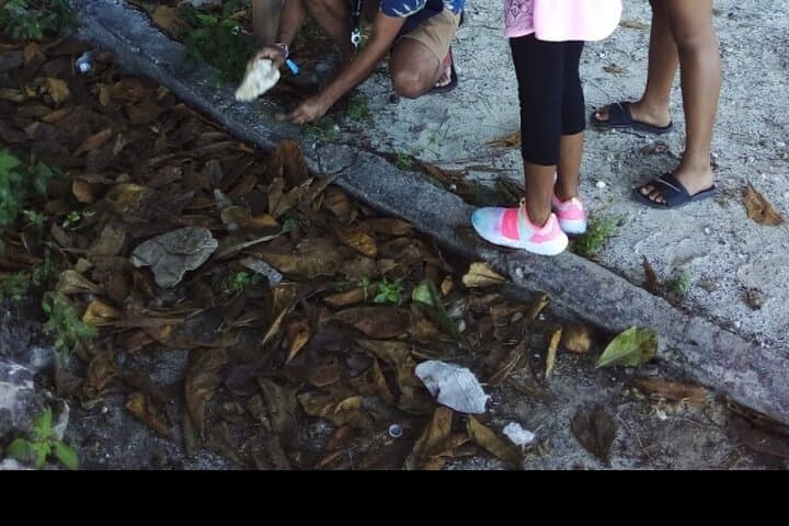 Nassau Shuttle Beach and Sightseeing Tour — Beaches, Rum & Historic Sites photo 3