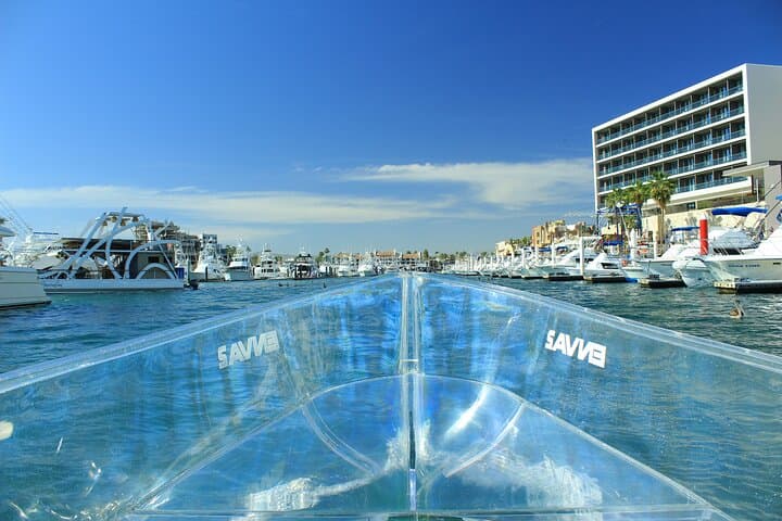 Isla Mujeres Clear Boat Tour: Coral Reef Views at La Cadenita and El Farito photo 6
