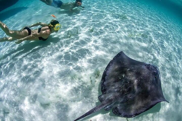 Isla Mujeres Clear Boat Tour: Coral Reef Views at La Cadenita and El Farito photo 5