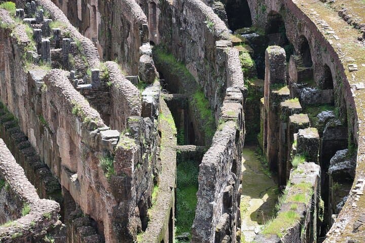 Private Colosseum Underground Tour: Explore Gladiator Chambers, Palatine Hill & Roman Forum photo 5