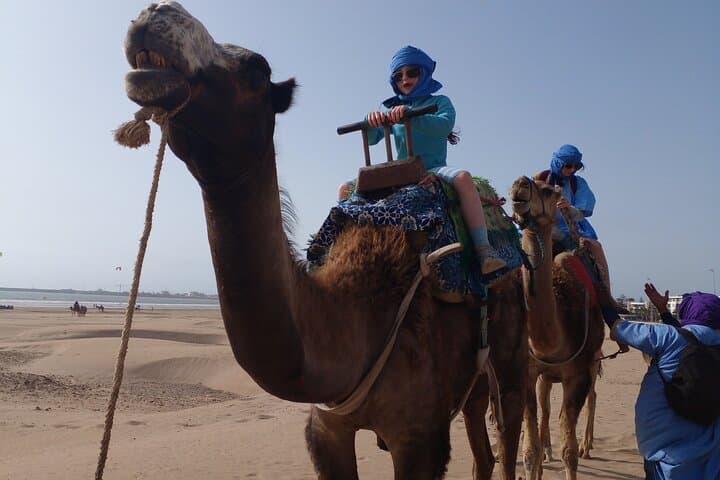 Essaouira Camel Ride: 2-Hour Sunset Tour with Pickup & Drop photo 6