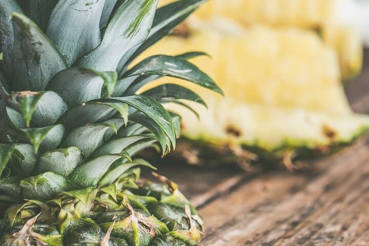 Maui Pineapple Farm Tour in Haliimaile: Upcountry Pineapple Fields & Tasting photo 5
