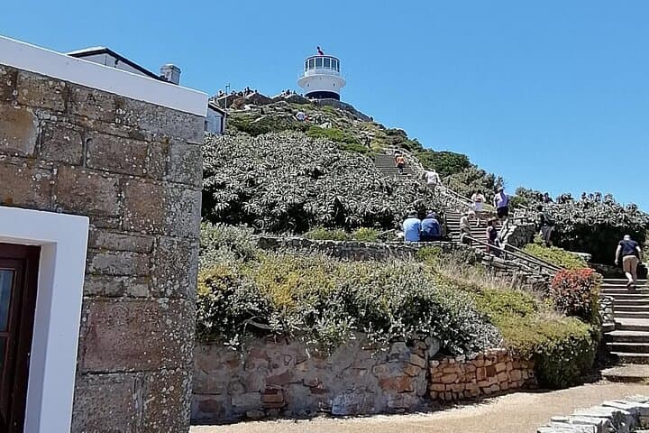 Full-Day Cape Peninsula & Cape Point Tour: Chapman's Peak, Penguins, and Lighthouse Views