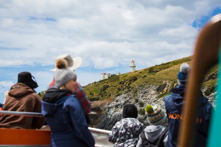 Otago Peninsula Wildlife Tour & Cruise — Monarch Wildlife Cruise & Penguin Reserve photo 6