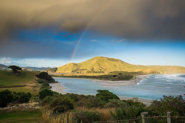 Otago Peninsula Wildlife Tour & Cruise — Monarch Wildlife Cruise & Penguin Reserve photo 4