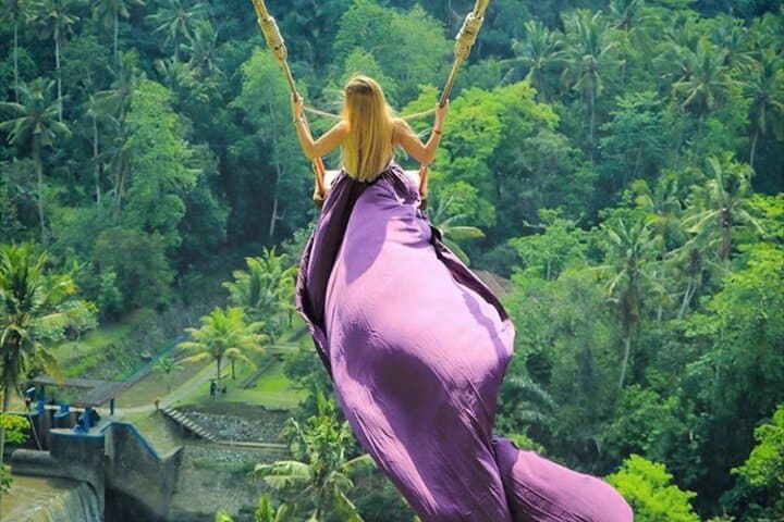 Bali Private Tour: Lempuyang Gate, Tirta Gangga, Tukad Cepung & Tegalalang Rice Terrace photo 4