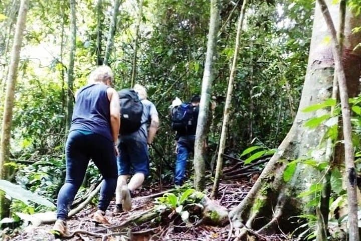 Bukit Lawang 2N/3D Jungle Trek & River Tubing — Orangutan Trek from Medan photo 3