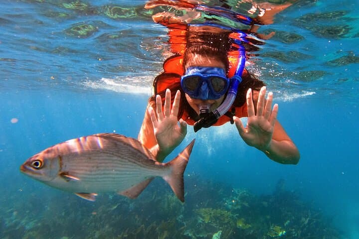 Key Largo Two-Reef Snorkel Tour: Christ of the Abyss & Marine Sanctuary photo 2