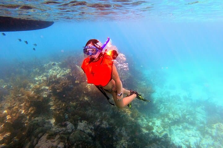 Key Largo Two-Reef Snorkel Tour: Christ of the Abyss & Marine Sanctuary photo 6