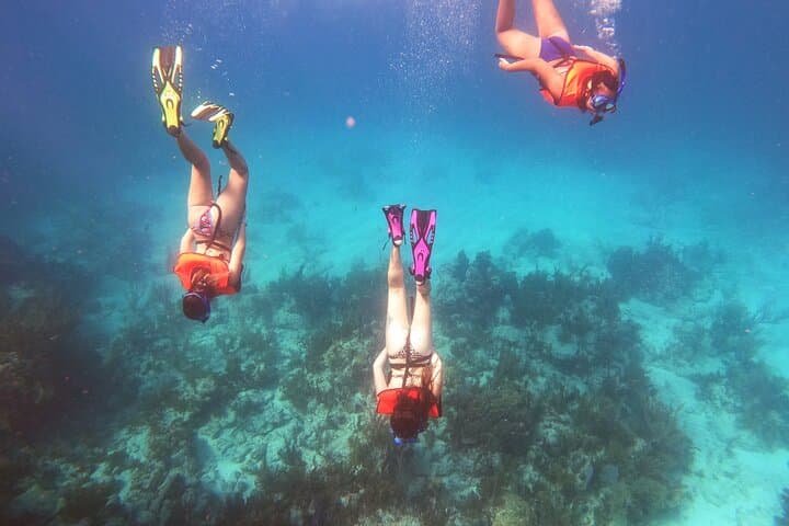 Key Largo Two-Reef Snorkel Tour: Christ of the Abyss & Marine Sanctuary