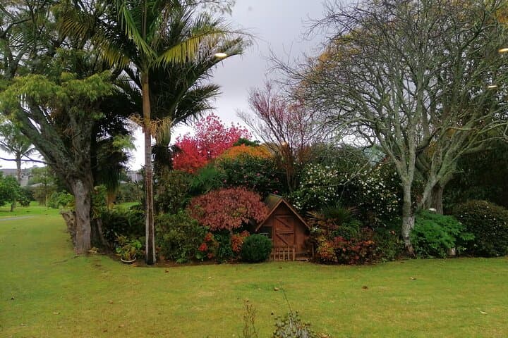 Waitomo Glowworm Caves and Te Puia Geothermal Tour from Auckland photo 3