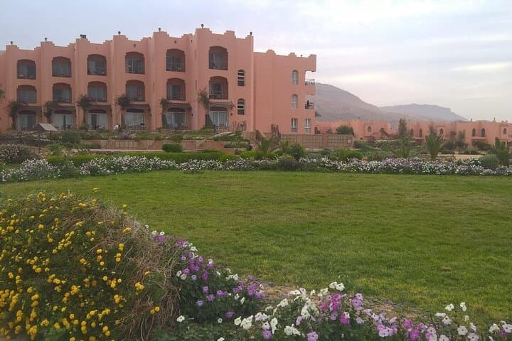 Red Sea Day Trip to Ain Sokhna: Private Beach Escape from Cairo photo 5