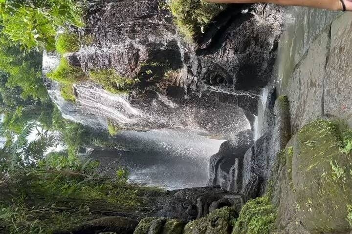 Private Ubud Day Tour: Monkey Forest, Rice Terraces & Holy Springs photo 4