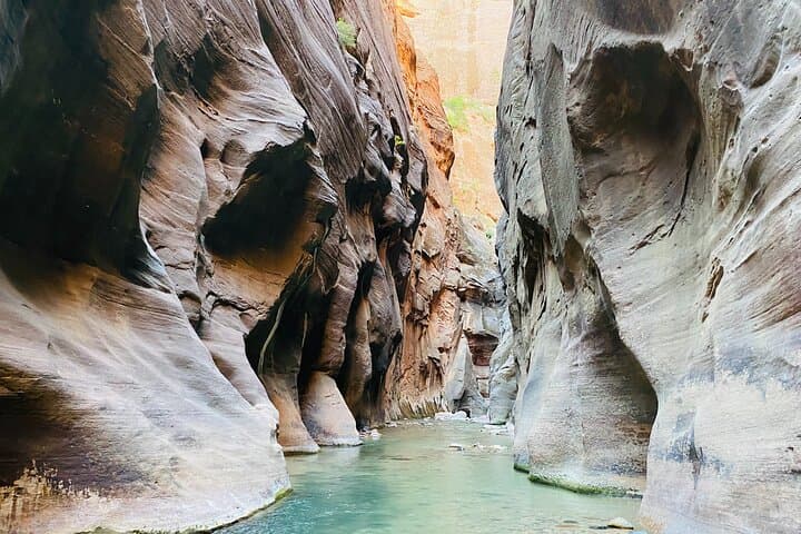 Zion Narrows Guided Hike to Wall Street — Small-Group Riverside Adventure photo 5