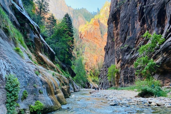 Zion Narrows Guided Hike to Wall Street — Small-Group Riverside Adventure photo 4