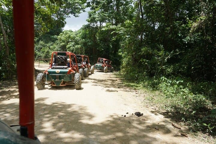Exploring Punta Cana's Wild Side: Dune Buggy Adventure photo 2