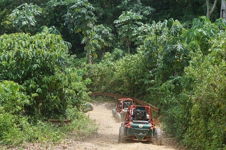 Exploring Punta Cana's Wild Side: Dune Buggy Adventure photo 6