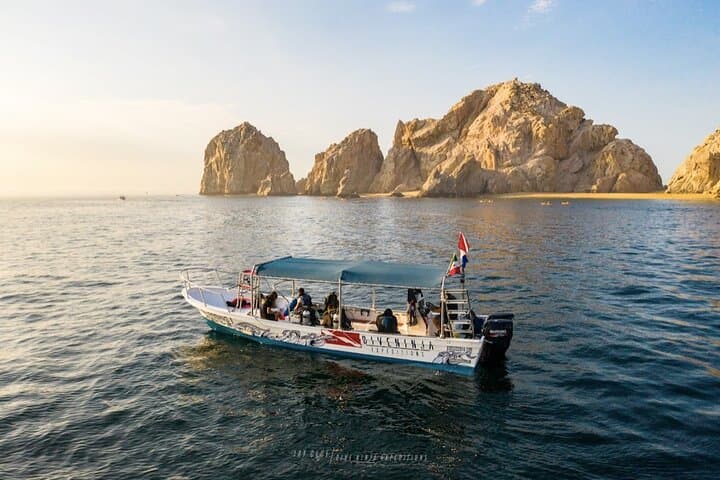 Private Half-Day Diving Tour in Cabo San Lucas — Mobula Rays, Sharks & Marine Park photo 3