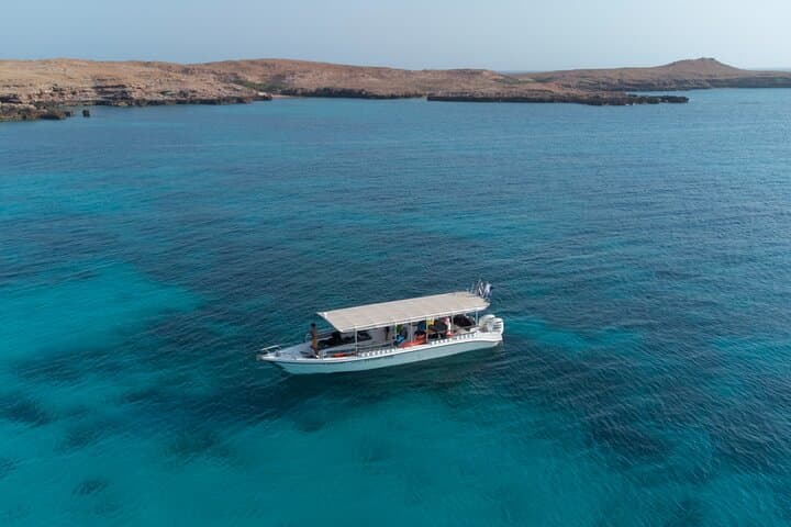 Snorkeling the Dimaniyat Islands: Turtle City, Coral Reefs & Day Trips from Muscat photo 2