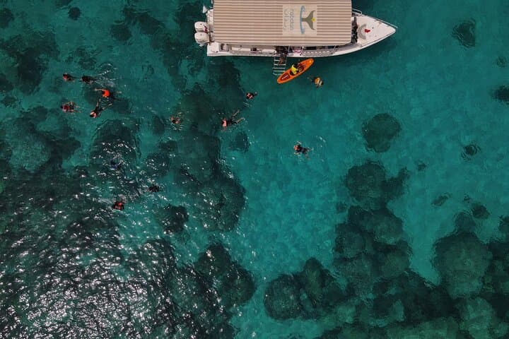 Snorkeling the Dimaniyat Islands: Turtle City, Coral Reefs & Day Trips from Muscat photo 4