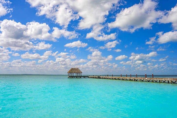 Day Trip to Isla Holbox & Punta Mosquito from Cancún — Swim, Hammocks & Yalahau Cenote photo 3