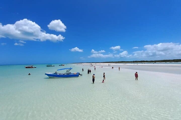 Day Trip to Isla Holbox & Punta Mosquito from Cancún — Swim, Hammocks & Yalahau Cenote photo 5
