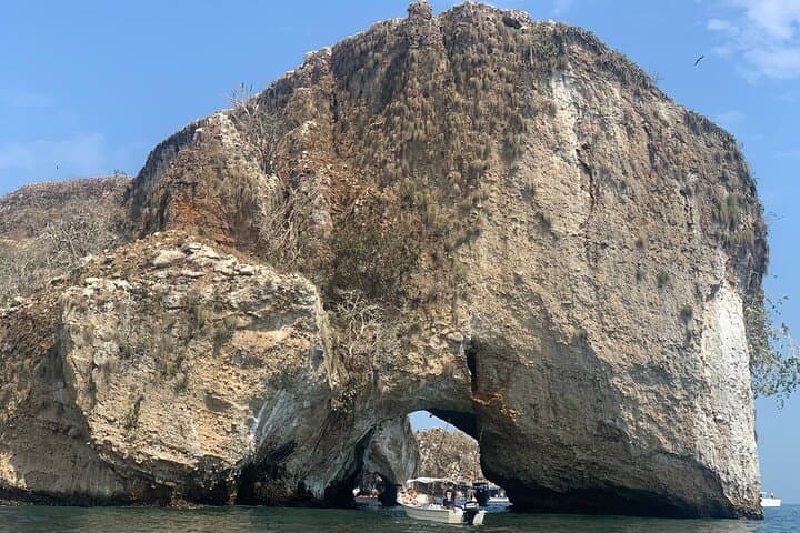 Snorkel Los Arcos: Puerto Vallarta Wildlife & Hidden Beach Boat Tour photo 4