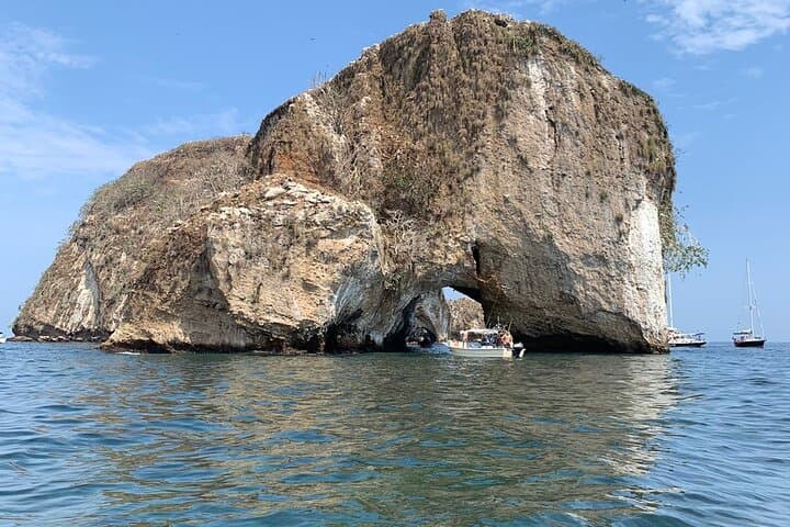 Snorkel Los Arcos: Puerto Vallarta Wildlife & Hidden Beach Boat Tour photo 5