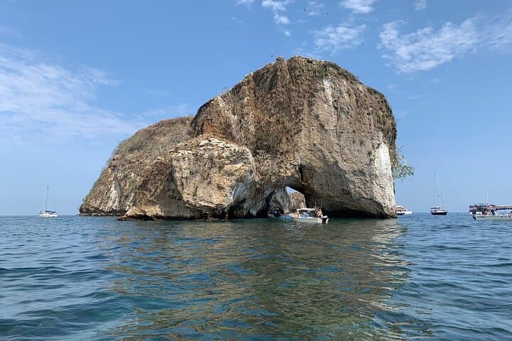 Snorkel Los Arcos: Puerto Vallarta Wildlife & Hidden Beach Boat Tour photo 6