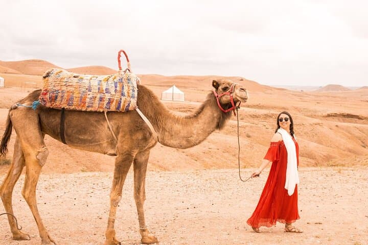 Marrakech to Agafay: Full-Day Atlas Mountains & Desert Experience