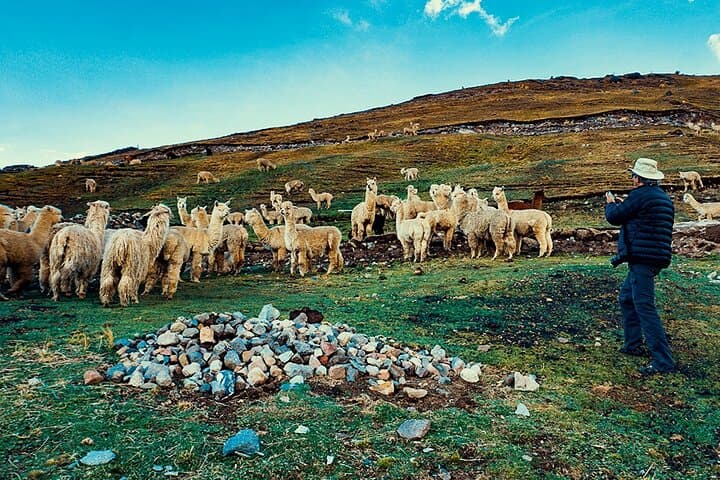 2-Day Machu Picchu & Rainbow Mountain Tour from Cusco — Train, Ruins & 7-Color Peak photo 6