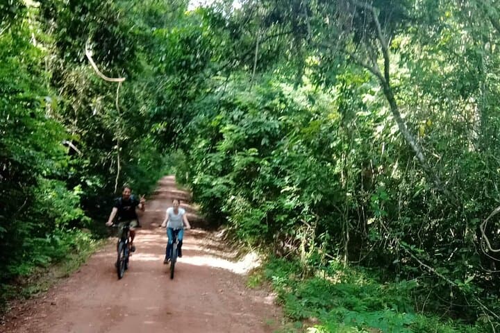 Cycling Angkor Wat at Sunrise or Sunset: Guided Bicycle Tour of Angkor's Temples photo 2
