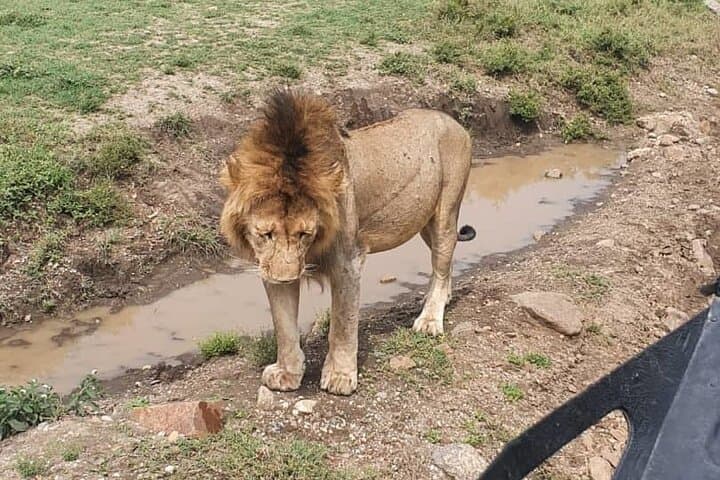 3-Day Backpacker Safari: Ngorongoro, Tarangire & Mt Oldeani Adventure photo 4