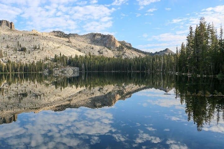 Two-Day Yosemite & Kings Canyon National Park Tour from Los Angeles
