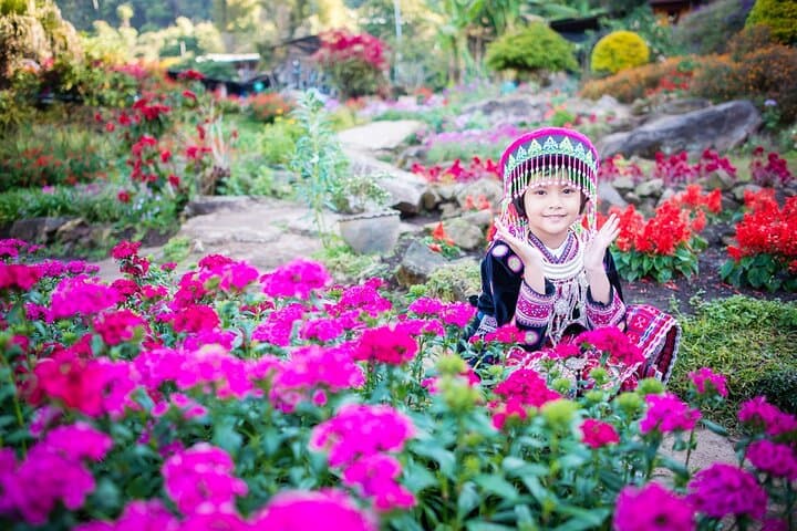 Half-Day Doi Suthep and Hmong Hill Tribe Tour — Chiang Mai Cultural Excursion photo 2
