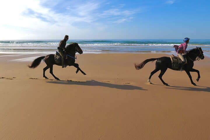 Coastal Canter: 1-Hour Horseback Ride on Essaouira’s Diabat Beach photo 4