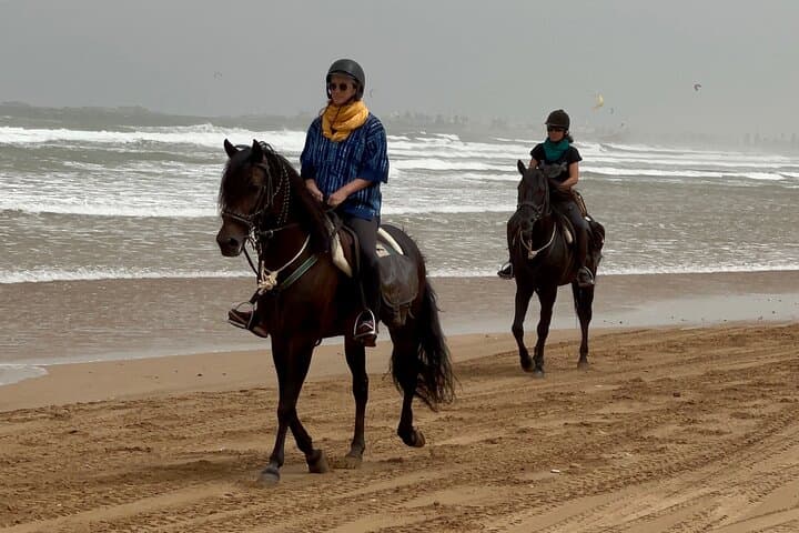 Coastal Canter: 1-Hour Horseback Ride on Essaouira’s Diabat Beach photo 5