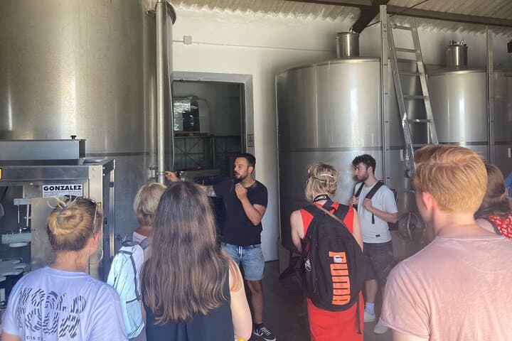 Malaga Organic Vineyard Wine Tour: 6-Wine Tasting & Tapas photo 5