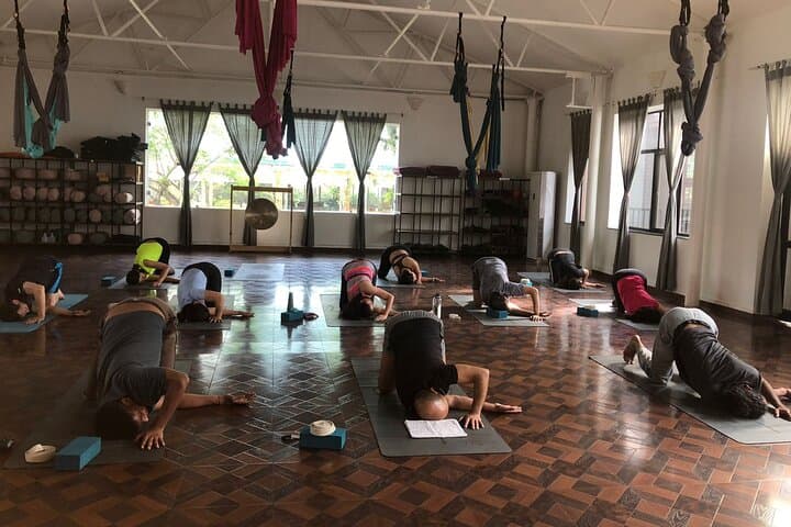 Kathmandu Vinyasa Yoga: 75-Minute Class with Personalized Guidance photo 4