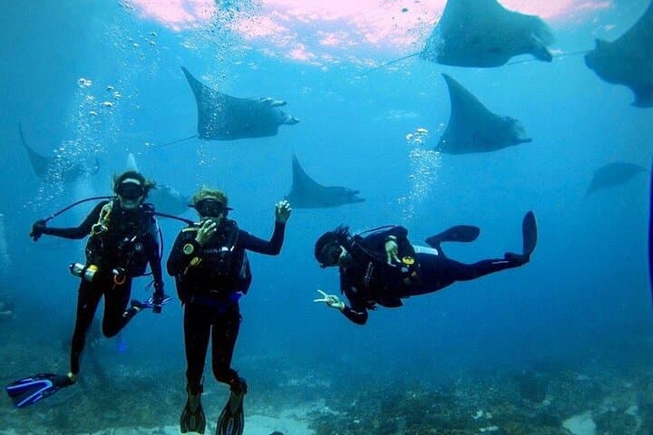 Sanur PADI Open Water Course — 3-Day Scuba Certification in Bali